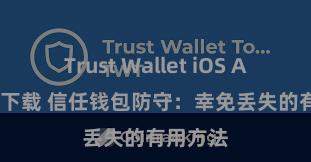 Trust Wallet iOS Android下载 信任钱包防守：幸免丢失的有用方法